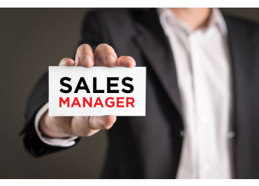 Professional Sales Manager