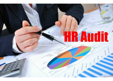 Human Resources Audit