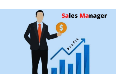 Professional Sales Manager